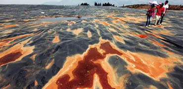 山西土壤污染狀況調查